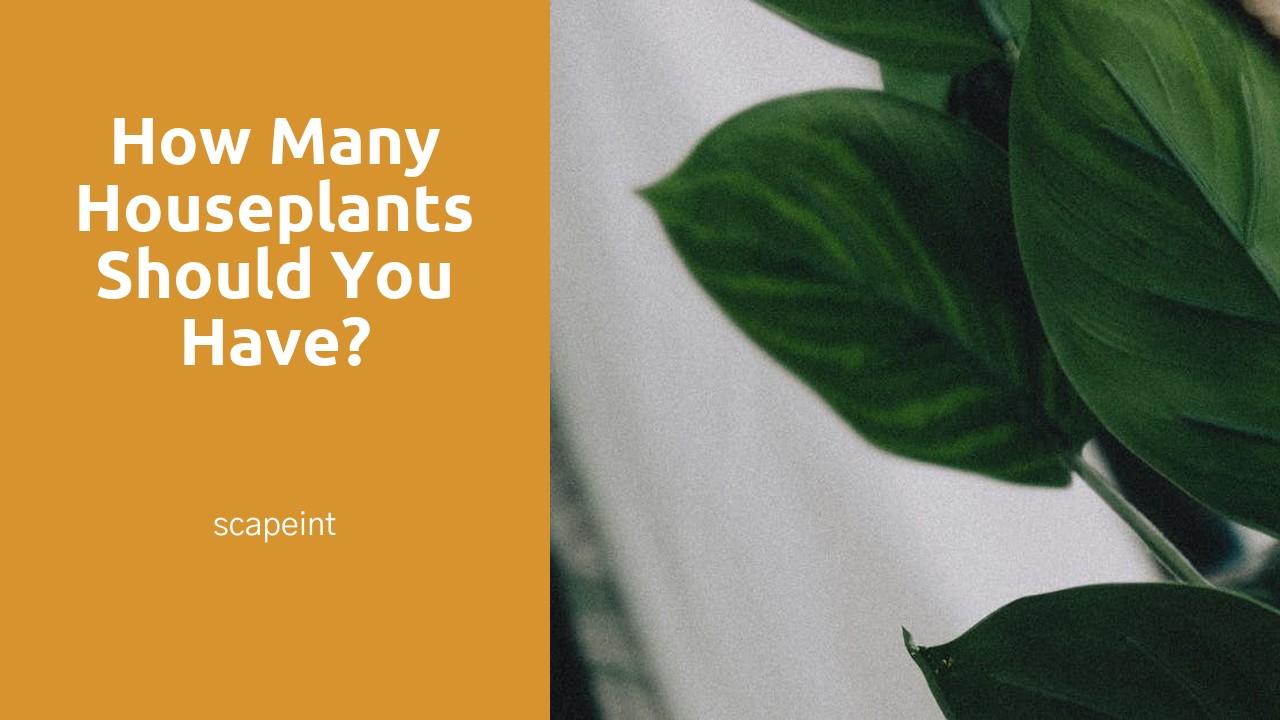 How many houseplants should you have?