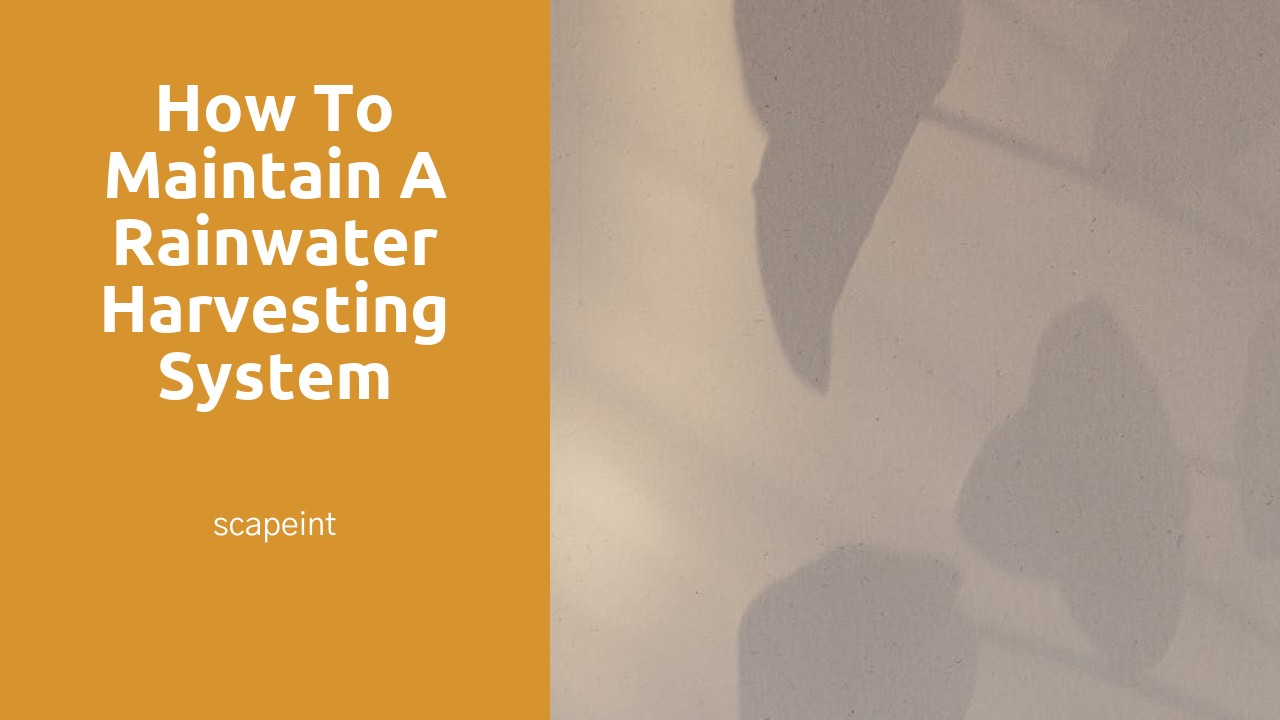 How to Maintain a Rainwater Harvesting System