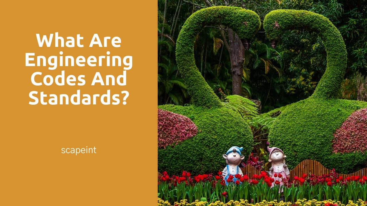 What are engineering codes and standards?