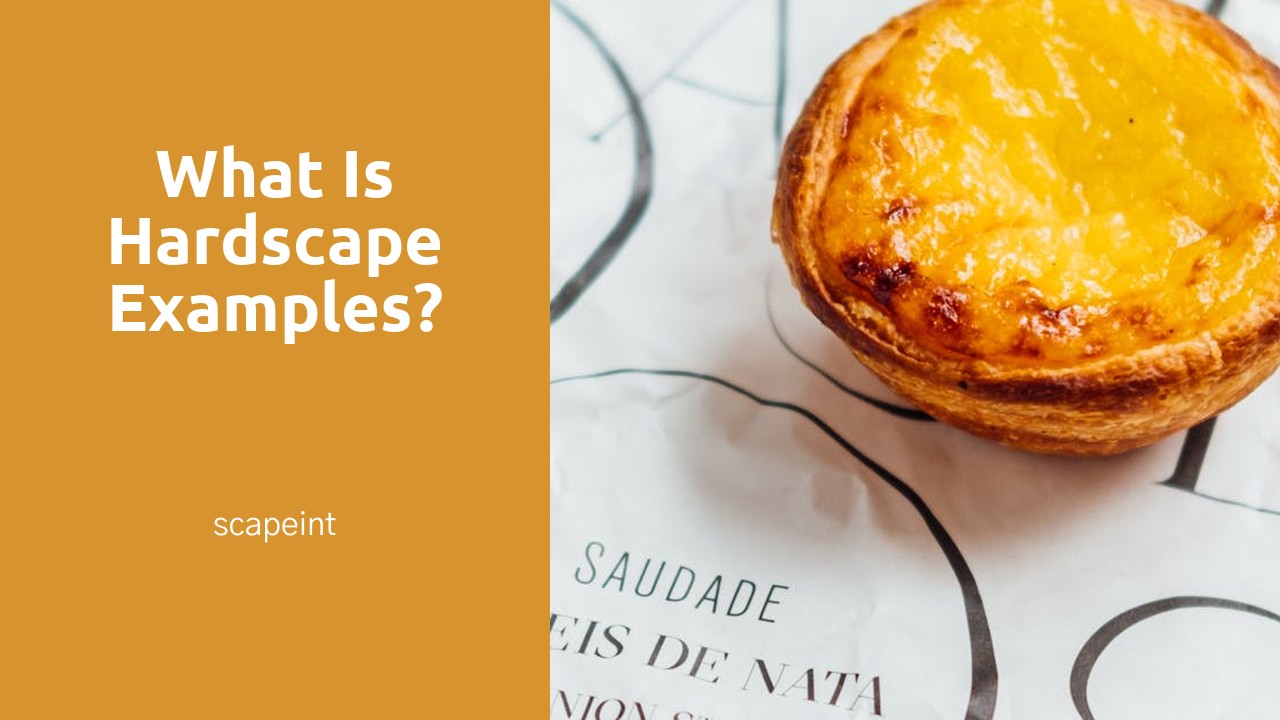 What is hardscape examples?