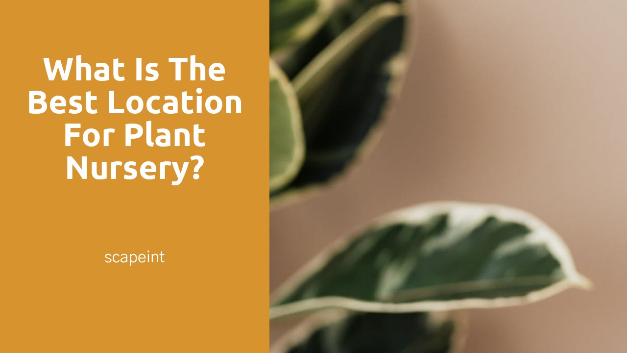 What is the best location for plant nursery?